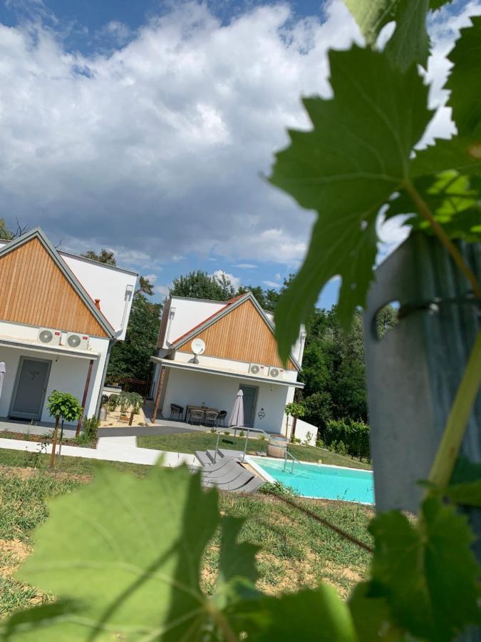 Weinberg Chalets Eisenberg an der Pinka Экстерьер фото